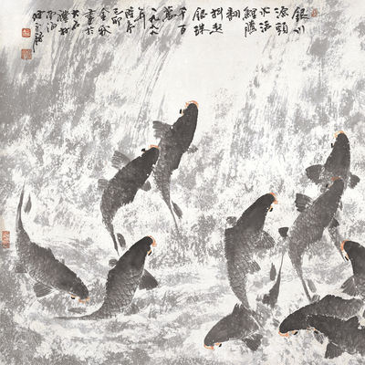 银川源头鲤鱼腾翻